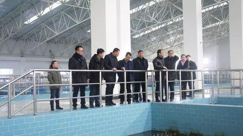 集團總經(jīng)理王爽一行開展節(jié)日慰問與工作指導